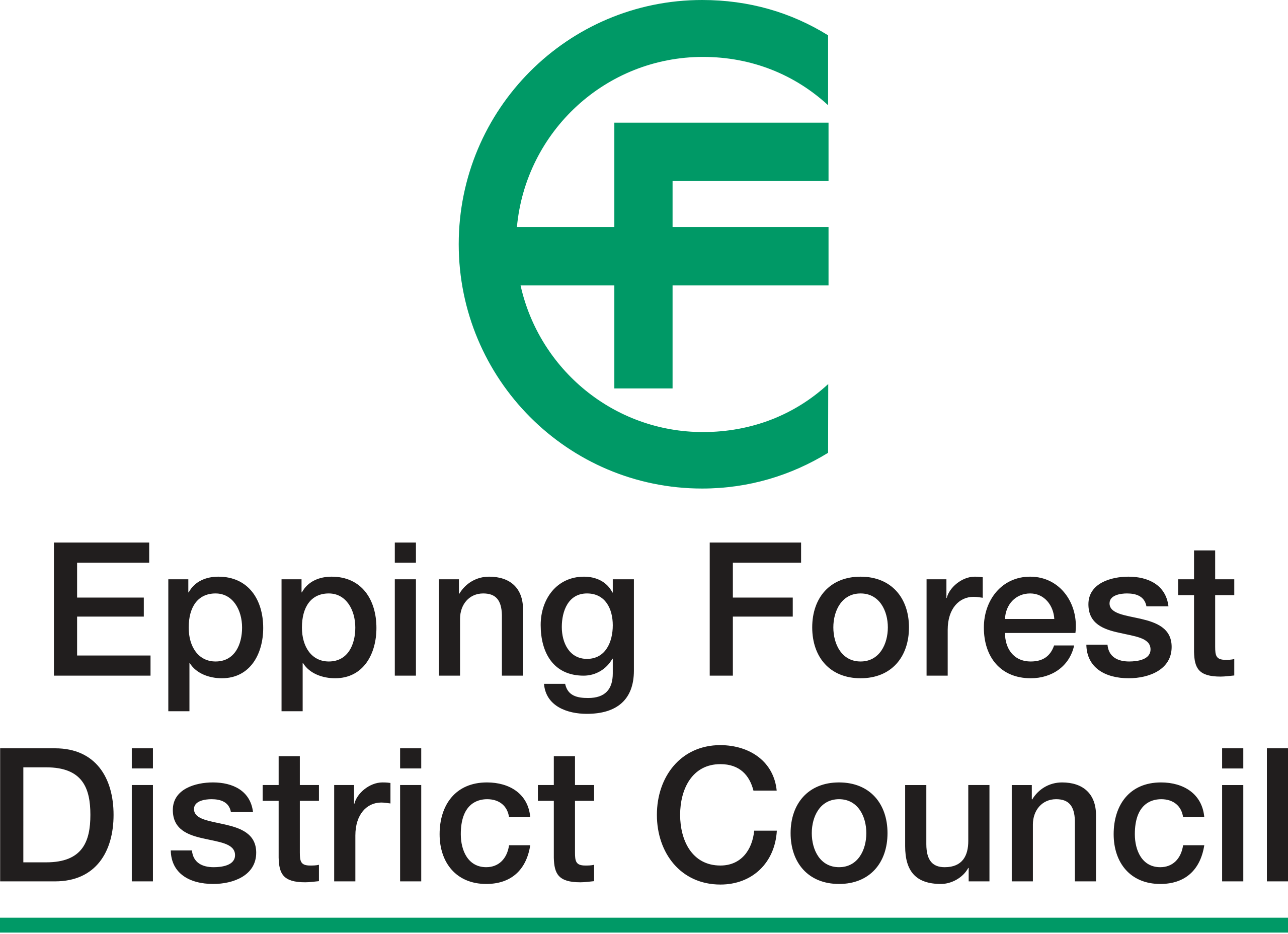 Council Logo